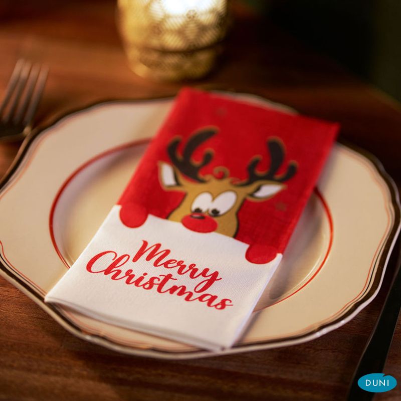 Serviette Rudolf 40x40, 1/8 F, Bio Dunisoft Serviette Rudolf 40x40, 1/8 F, Bio Dunisoft
