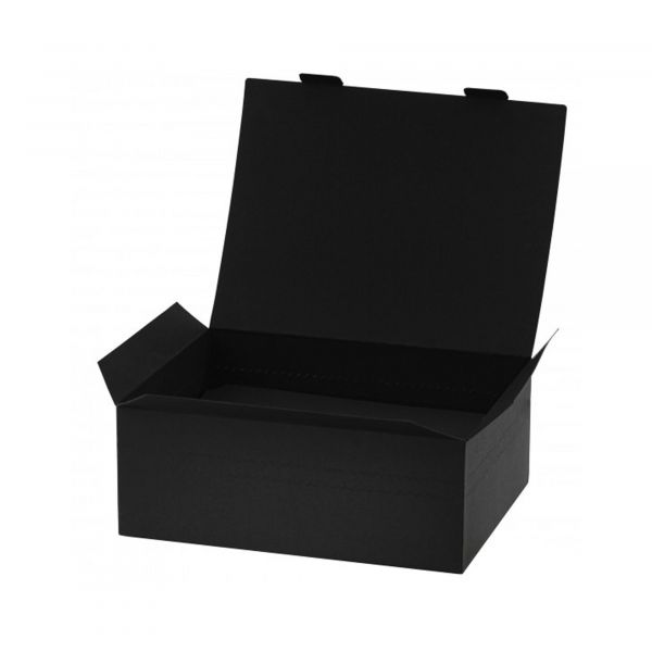 Essentiel Box 2er, 250x185x120mm Transportbox für Menüschalen