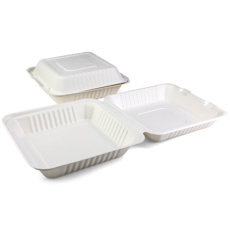 Menübox Senza 230x230x80mm aus Bagasse - PFAS-frei & nachhaltig