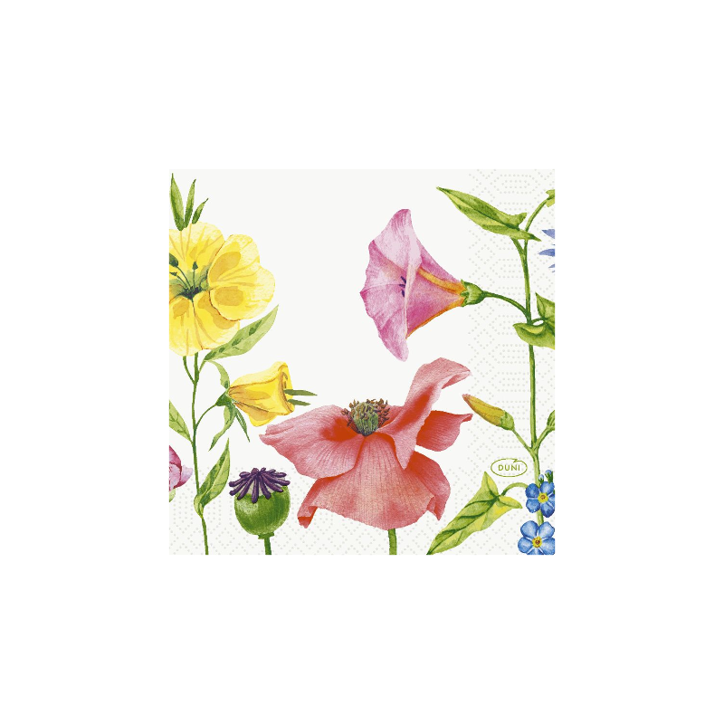 und bunten Frühlingsblumen