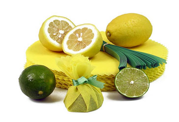 Lemon Wraps Service Artikel