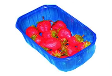Obst-Schalen 500gr blau Obstverpackungen