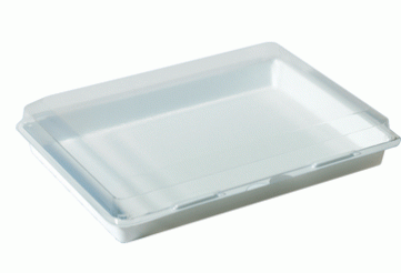 Lunchtablett weiß 338x250x63mm Lunchboxen