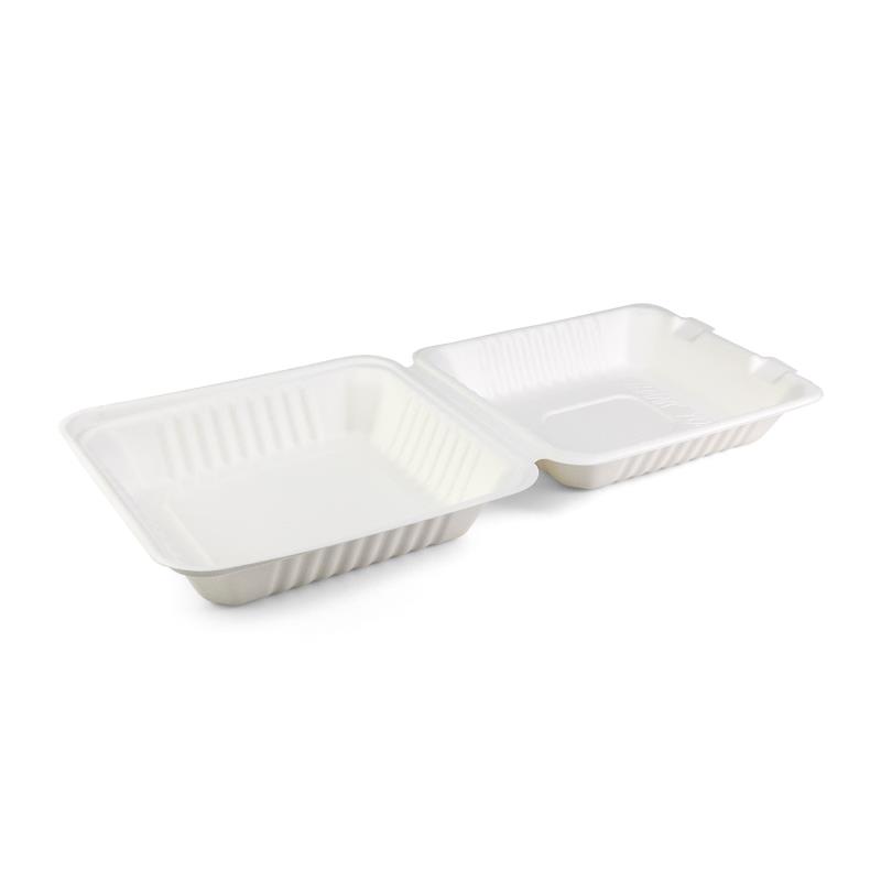 Menübox Senza 203x203x80mm aus Bagasse - PFAS-frei & nachhaltig