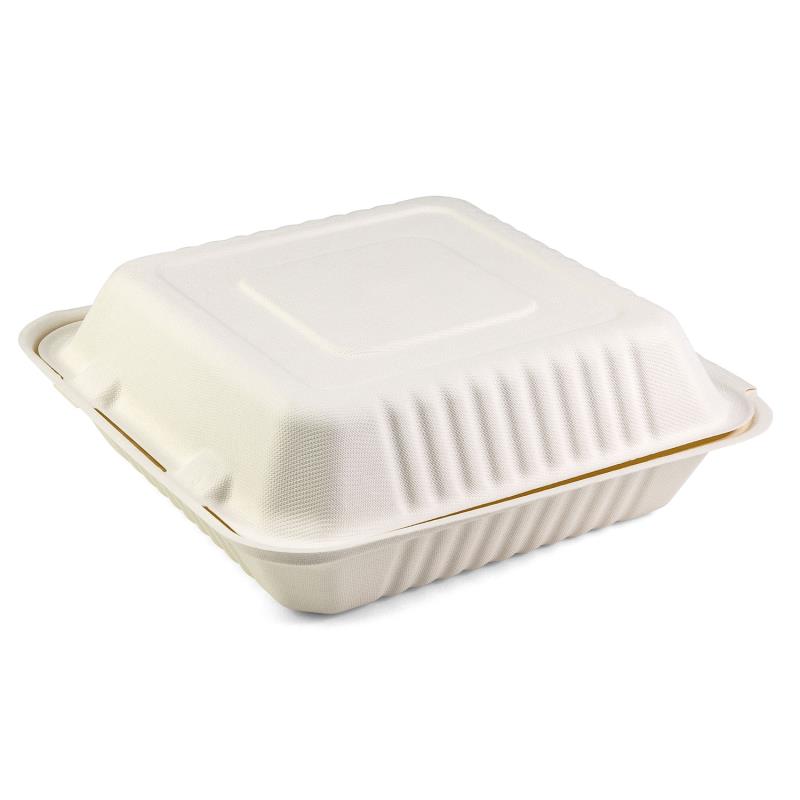 Menübox Senza 230x230x80mm aus Bagasse - PFAS-frei & nachhaltig