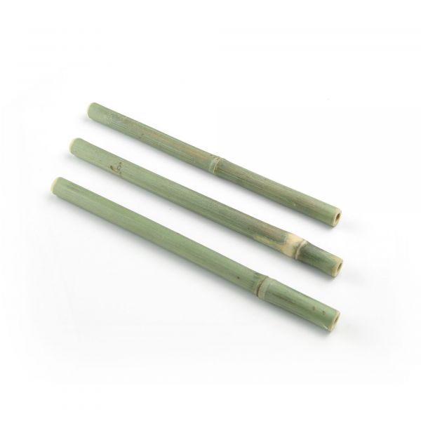 Trinkhalm Bambus 180x10mm Trinkhalme