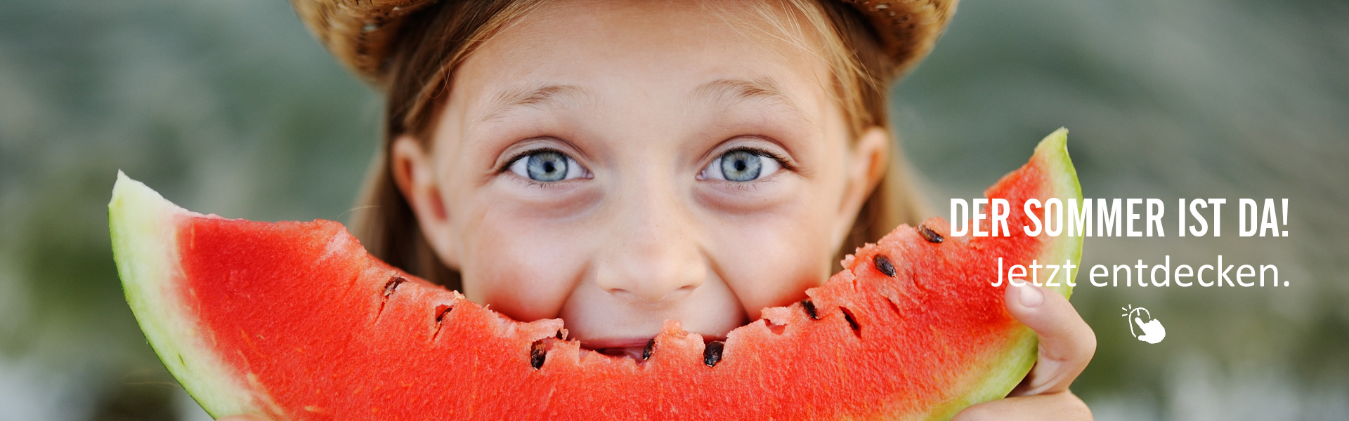 Banner Sommer
