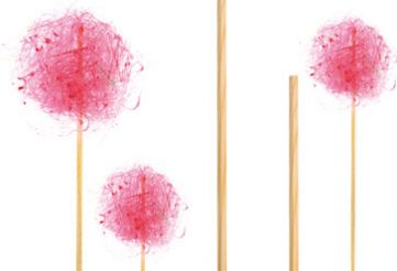 Lollipop Stick Holz 95mm Fingerfood-und Catering- Artikel