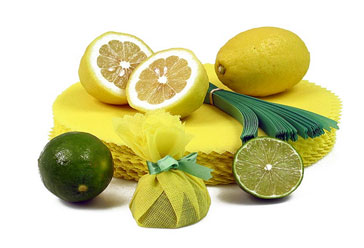 Lemon Wraps