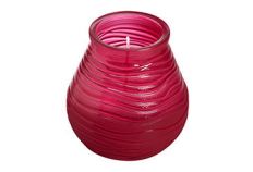 Patiolight, Fuchsia