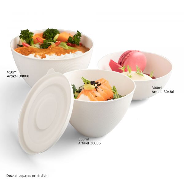 Santo Schale 610ml Bagasse Bagasse Bowl, Zuckerrohr Schale